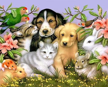 ^.^ Mascotilandia ^-^