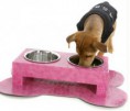/album/%e2%99%a1-%e2%99%a5-mascotilandia-%e2%99%a1-%e2%99%a5/accesorios-mascotas-4-jpg/